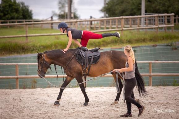 Stage voltige cheval