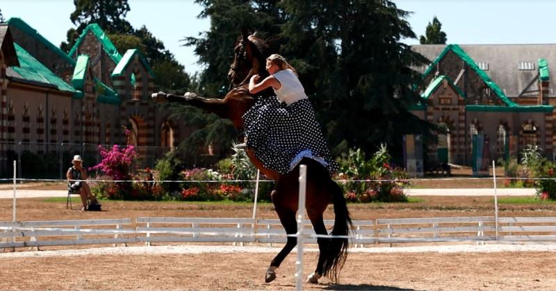 Spectacle équestre lors des jeudis du haras au Haras de Saint Lô