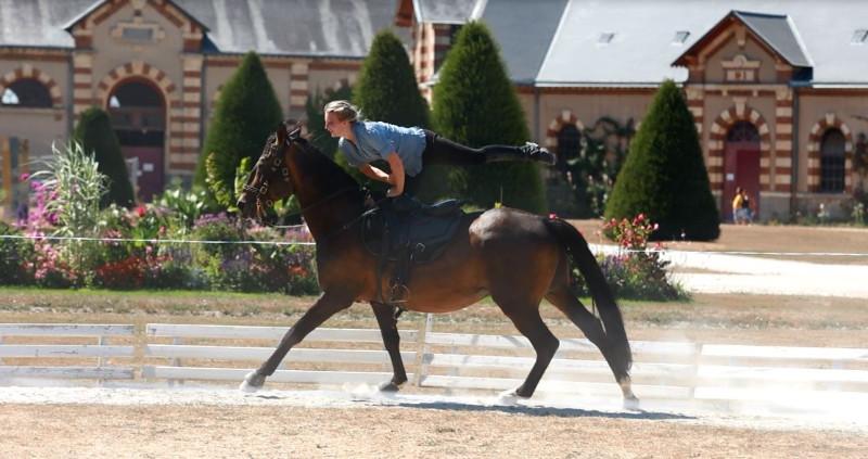 Spectacle équestre lors des jeudis du haras au Haras de Saint Lô