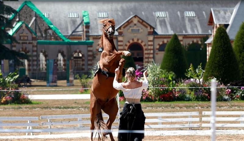 Spectacle équestre lors des jeudis du haras au Haras de Saint Lô