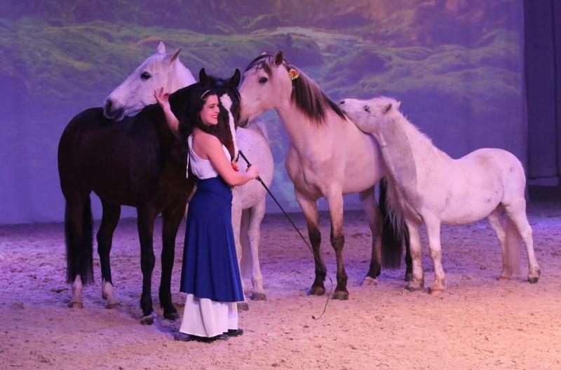 Des spectacles équestres tout l'été aux écuries à Saint Amand Villages