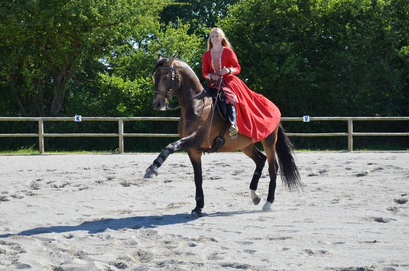 Un spectacle équestre réalisé lors d'une communion près de St Sauveur le Vicomte