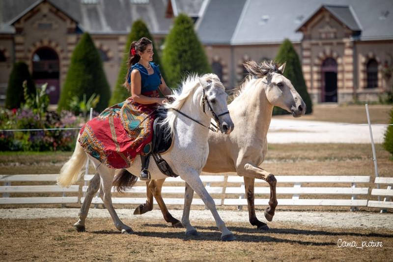 Des spectacles équestres tout l'été aux écuries à Saint Amand Villages