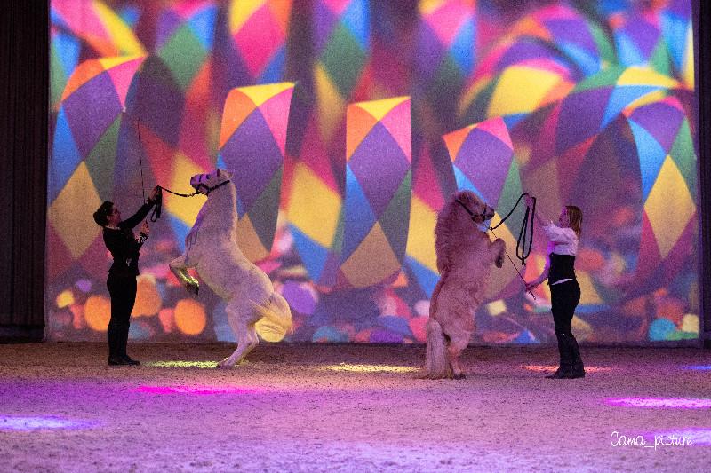 Programme des spectacles équestres au mois d'Aout au Haras de Saint Lô