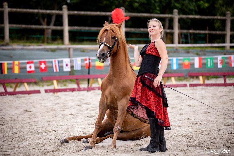 800 spectateurs cet été au spectacle « Cheval, Voyage et Poésie »