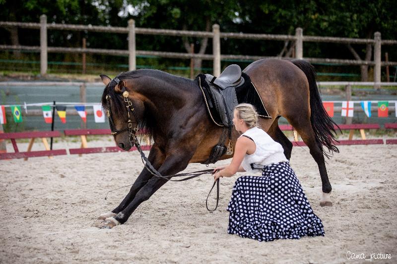 800 spectateurs cet été au spectacle « Cheval, Voyage et Poésie »