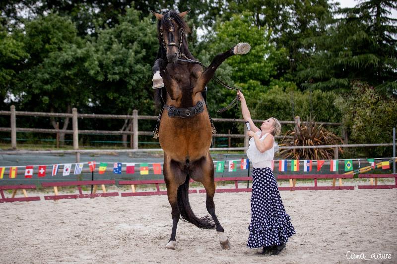 800 spectateurs cet été au spectacle « Cheval, Voyage et Poésie »