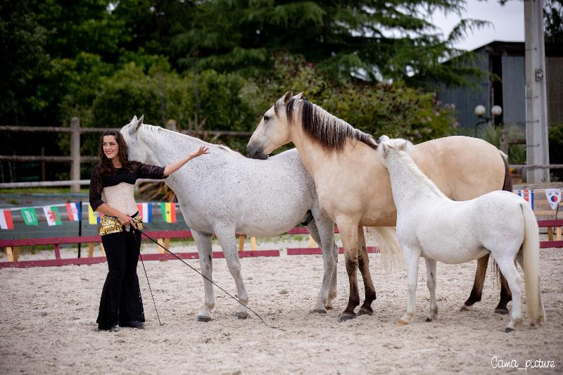 800 spectateurs cet été au spectacle « Cheval, Voyage et Poésie »