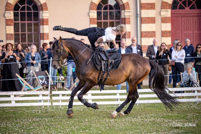 Programme des spectacles équestres au mois d'Aout au Haras de Saint Lô