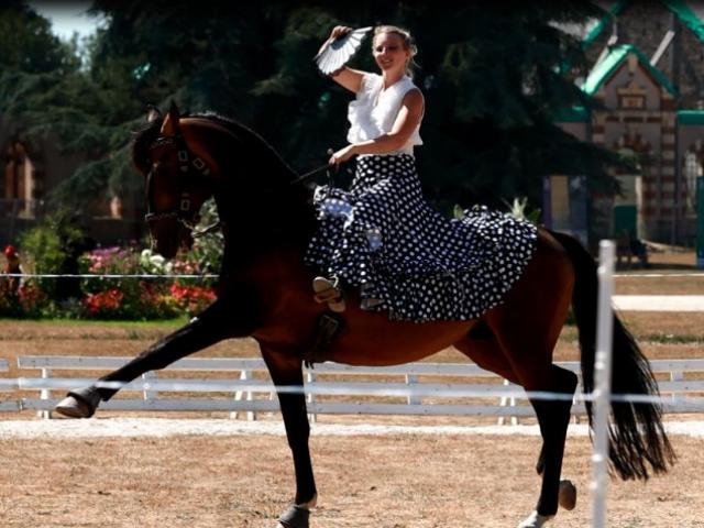 Spectacle équestre lors des jeudis du haras au Haras de Saint Lô
