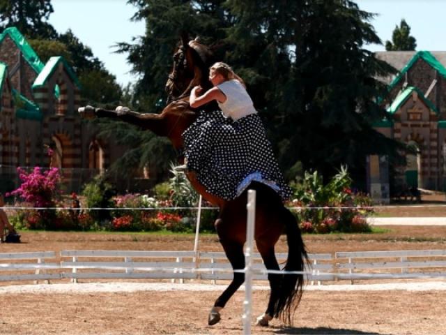 Spectacle équestre lors des jeudis du haras au Haras de Saint Lô