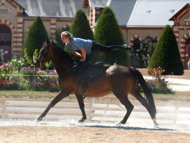 Spectacle équestre lors des jeudis du haras au Haras de Saint Lô