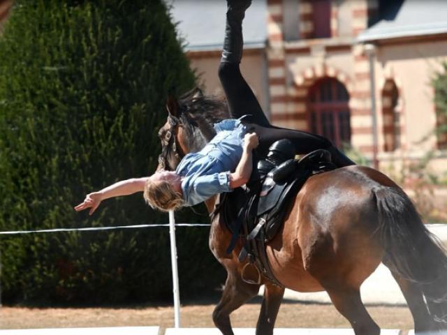 Spectacle équestre lors des jeudis du haras au Haras de Saint Lô