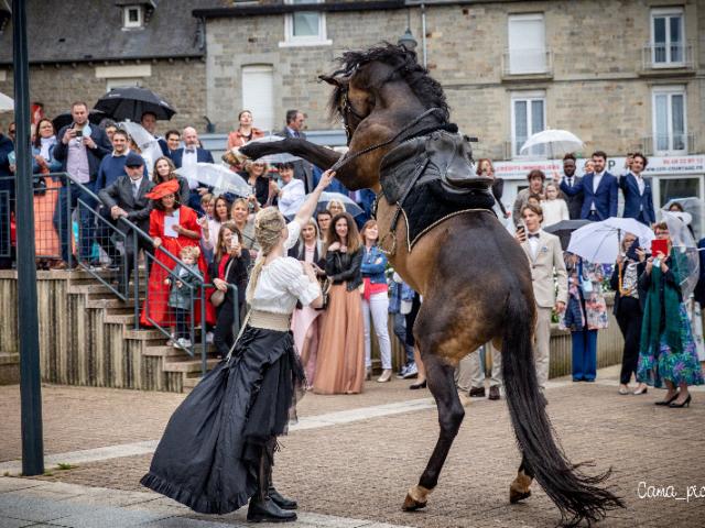 Réalisation d'un spectacle équestre pour un mariage à Liffré 