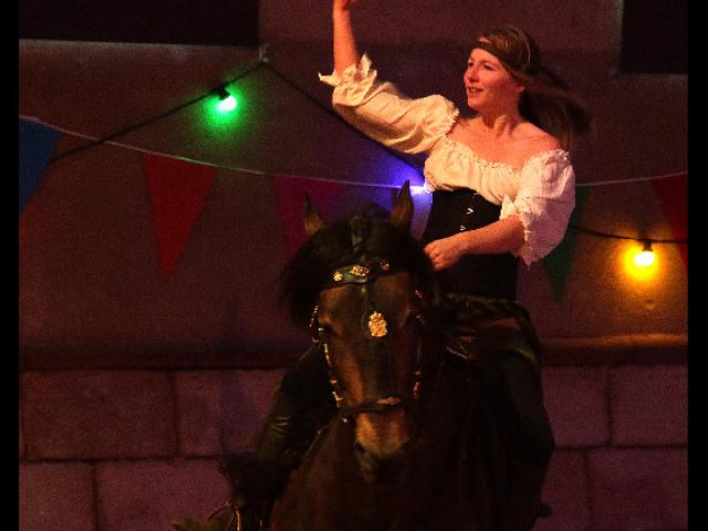 Spectacle de Février sur le thème du carnaval au Haras National du Pin