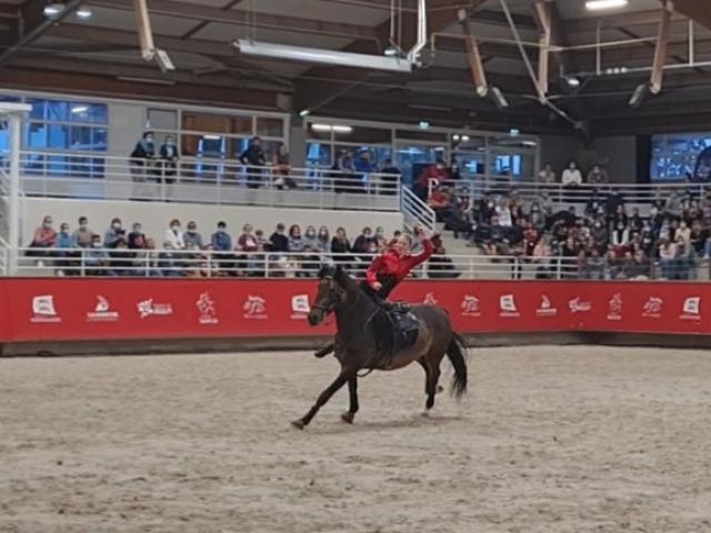 Spectacle de voltige au Normandie Horse Show