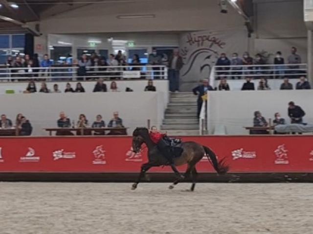 Spectacle de voltige au Normandie Horse Show