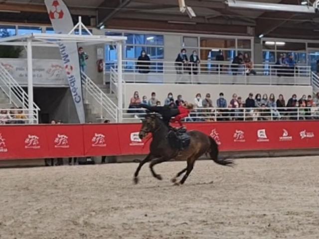 Spectacle de voltige au Normandie Horse Show